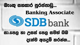 SDB Bank Jobs  Government Bank Jobs  After OL Jobs  Shan Creation  After AL Jobs  Bank Jobs [upl. by Armillas163]