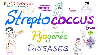 Streptococcus pyogenes diseases  Microbiology amp Infectious Diseases 🧫 [upl. by Diskin]