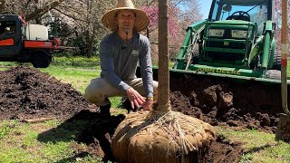 Gardeners Almanac April 12  Planting BampB Tree [upl. by Addiego]