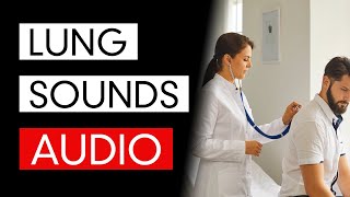 Lung Sounds  Audio COVID19 Pneumonia Included [upl. by Rutan468]