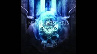 Ne Obliviscaris  Cynosure [upl. by Marl]