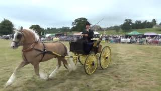 Ellingham and Ringwood Show 2024 Driving Classes [upl. by Ahsatel]