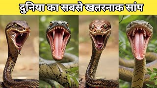 The Most Dangerous Snake In The World  Black Mamba  Mystery Of Snake  Mysteryduniya [upl. by Alakam]