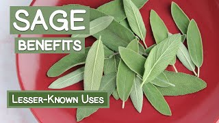 Sage Leaf Benefits Two LesserKnown Herbal Uses [upl. by Leonteen280]