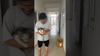 Hostel  UPES  Fun  Cat viralvideo cat catlover dehradun upesdehradun upes shorts top10 [upl. by Oironoh365]