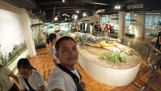 NATIONAL MUSEUM OF THE PHILIPPINES TOUR PART 2 [upl. by Danelle]