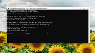 How To Fix Netwtw04sys Failed Blue Screen On Windows 1110 [upl. by Stedt995]