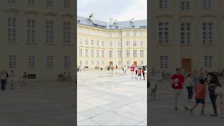 ‘12 Places to see in Prague’ prague travel tourism ytviral ytshorts shorts shortvideo places [upl. by Claudina56]