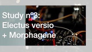 Study nº3  Electus Versio  Morphagene ambient jamuary2022 [upl. by Aseefan]