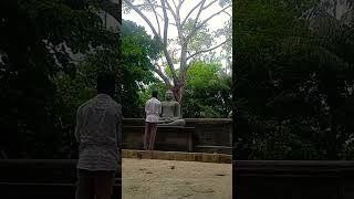 srilanka koggala travel traveler budhism temple freedom relaxing 🙏🙏💮🌼 [upl. by Nuahs]