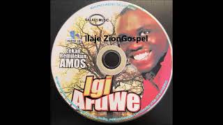 Evang Lekan Remilekun Amos Igi Aruwe Ilaje Gospel [upl. by Lirva]