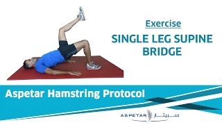 29 Exercises  Single leg bridge [upl. by Amorita636]