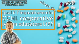 Livello CCNL L19  pillole di pedagogia 080 [upl. by Katey121]