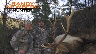 Arizona Elk Hunting with Randy Newberg  Big Kaibab Bulls FT S1 E8 [upl. by Enitsuga]