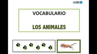 Vocabulario sobre animales en español [upl. by Ecenahs]