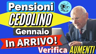 PENSIONI 👉 CEDOLINO GENNAIO CON GLI AUMENTI IN ARRIVO❗️Verifica NUOVI IMPORTI NETTI della pensione ✅ [upl. by Oecam50]