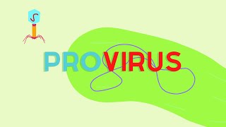 What is a provirus [upl. by Auahsoj]