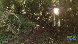 2023 SHERCO 300 AND 2024 KTM 300 EXC HITTING THE FRESH STUFF pt1 [upl. by Ytak822]