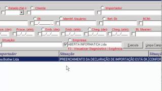 Registro de DI Automatico Via Siscomex Importação WEB [upl. by Hughett]