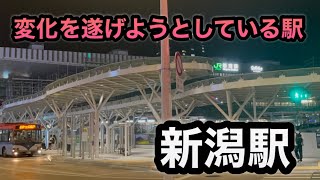 【新潟駅】大変身中紹介 [upl. by Newell]