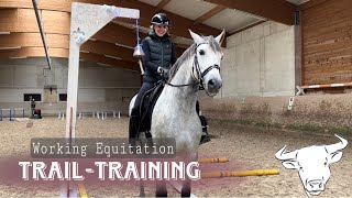 Working Equitation TrailTraining [upl. by Cathee644]