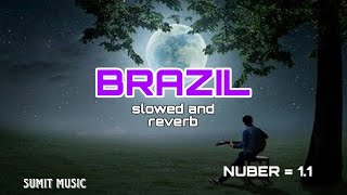 To Brazil song 💯  slowed and reverb  with dance and party video [upl. by Eneliak544]