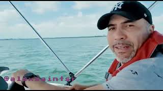 TESTING MY BAYLINER ELEMENT M17 2022 IN THE TAMPA BAY AREA boatlife bayliner [upl. by Annekahs]