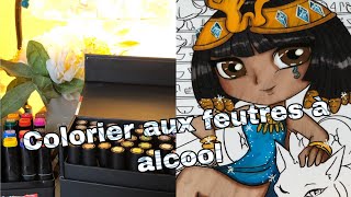 Utiliser les feutres à alcool  Promarker Twinmarker [upl. by Ahsein262]