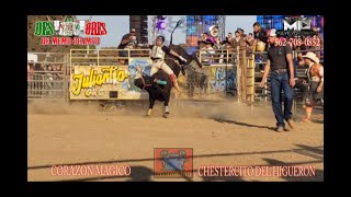 CHESTERCITO JR DEL HIGUERON VS EL TREMENDO EMBATE DE CORAZON MAGICO GIRA USA 2021 EN SANTA MARIA CA [upl. by Yrekcaz722]