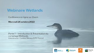 Webinaire Wetlands  Partie 1 [upl. by Guyon]