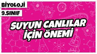 9 Sınıf Biyoloji  Suyun Canlılar İçin Önemi  2022 [upl. by Namara]