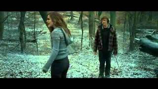 Harry Potter and the Deathly Hallows Part 1  Seven Harrys 2010 HD [upl. by Anyl]