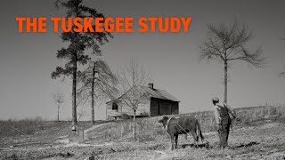 The Tuskegee Study [upl. by Airehs]