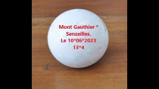 BALLE PELOTE Mont Gauthier  Senzeilles le 10 juin 2023 [upl. by Anilecram]