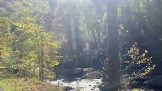 The Great Smoky Mountains National Park [upl. by Haraj]