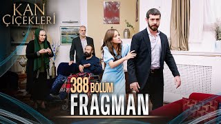 Kan Çiçekleri 388 Bölüm Tanıtımı [upl. by Htabmas]