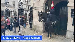 LIVE STREAM  King’s Guards [upl. by Magdala]