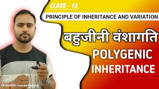 Polygenic Inheritance  Principles of Inheritance and Variation  Class 12 202425 [upl. by Forras]