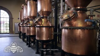 Roca Patrón Tequila Copper Stills  Patrón Tequila [upl. by Ekaj]