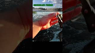 Flathead Ripping Line Didnt Know They Swim That Fast fishing fish spillway dam catfish [upl. by Nidnal]