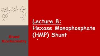 Blood Biochemistry  Hexose Monophosphate HMP Shunt [upl. by Nameerf342]