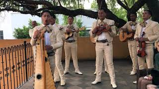 Mariachi Band  wedding in San Miguel de Allende [upl. by Otilegna]