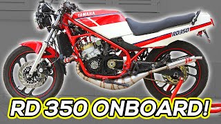 CRAZY RD 350 YPVS Onboard [upl. by Martell]