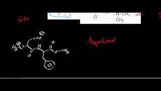 Biochemistry  Catabolism of Asparagine amp Aspartate to Oxaloacetate [upl. by Stanislaw333]