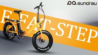 The20quot Fat Tire Model EFATSTEP EBike Specifications [upl. by Hughmanick754]