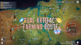 Dual Artifact Farming Route 206 Total Investigation Spots  Genshin Impact Guide 41 [upl. by Gneh]