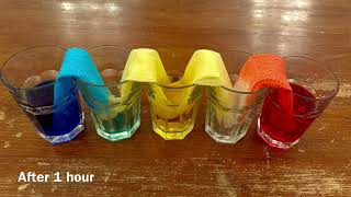 Lets Learn About Capillary Action [upl. by Monahan]