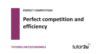 Perfect Competition  Economic Efficiency  Economics Revision [upl. by Enaenaj]