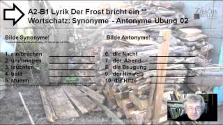 A2B1 Wortschatz Synonyme Antonyme Lyrik Der Frost bricht ei [upl. by Ulu]