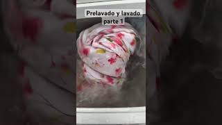 Prelavado y lavado parte1 parte1 asmr tips asmrvideo cleaning parati shorts satisfying [upl. by Meri]